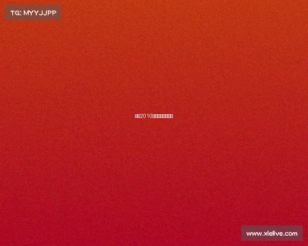 国足2010世界杯预选赛成绩