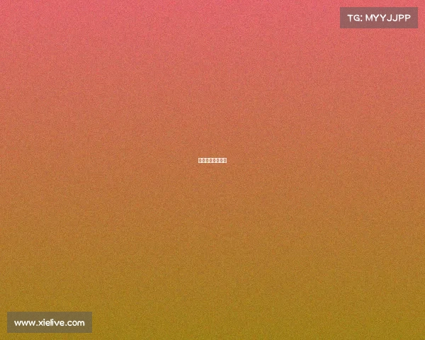 佐加顿斯足球赛果