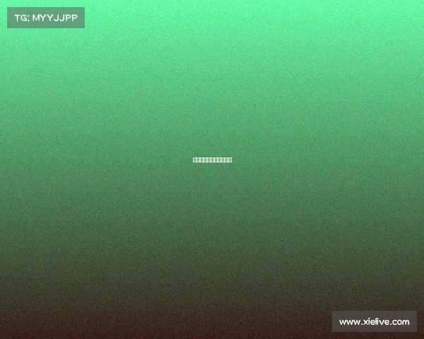 足球商业赛事球星出场费